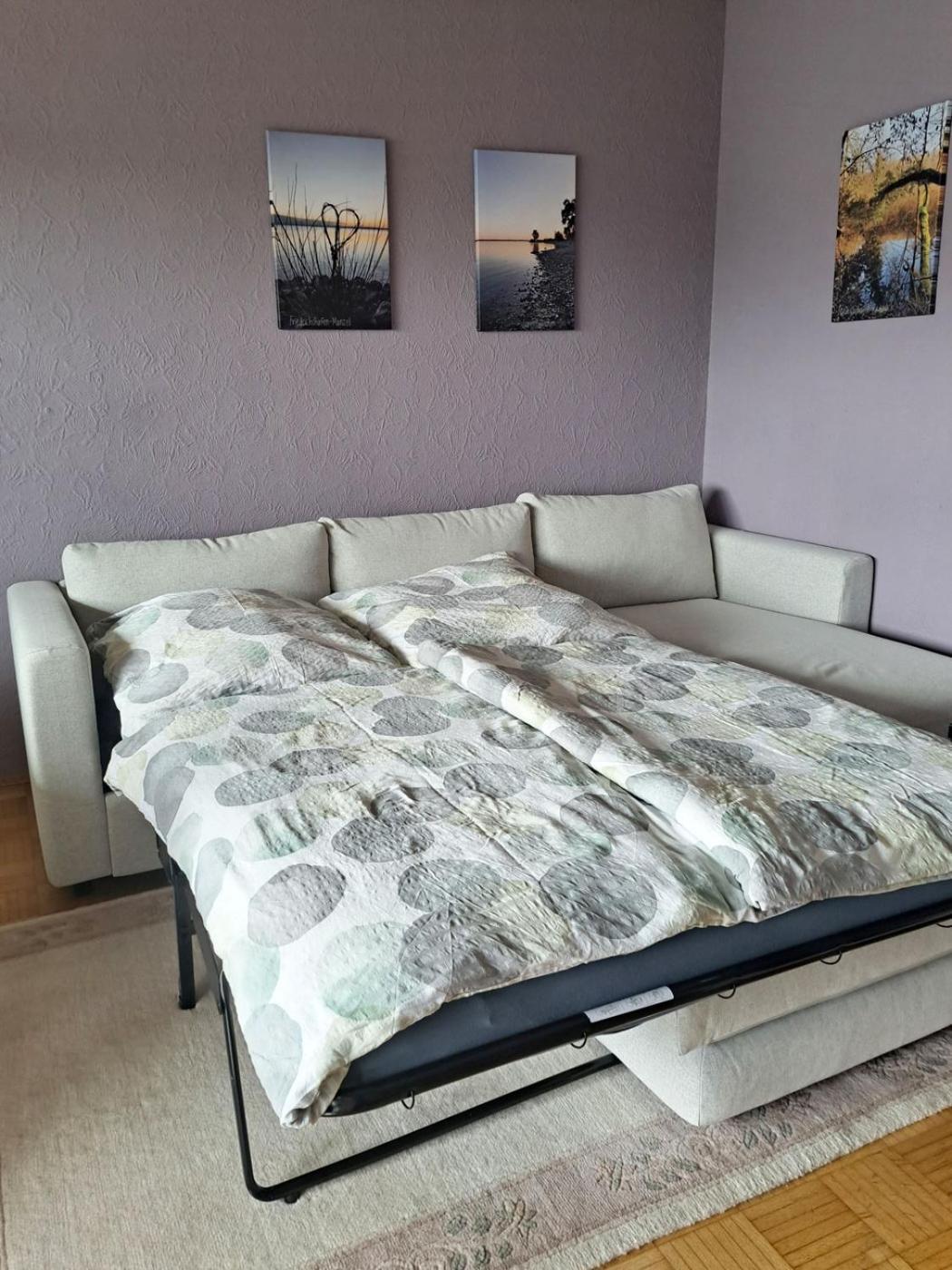 Grosses Apartment Perfekt Fuer Familien - Gaestecard Inklusive Friedrichshafen Bagian luar foto
